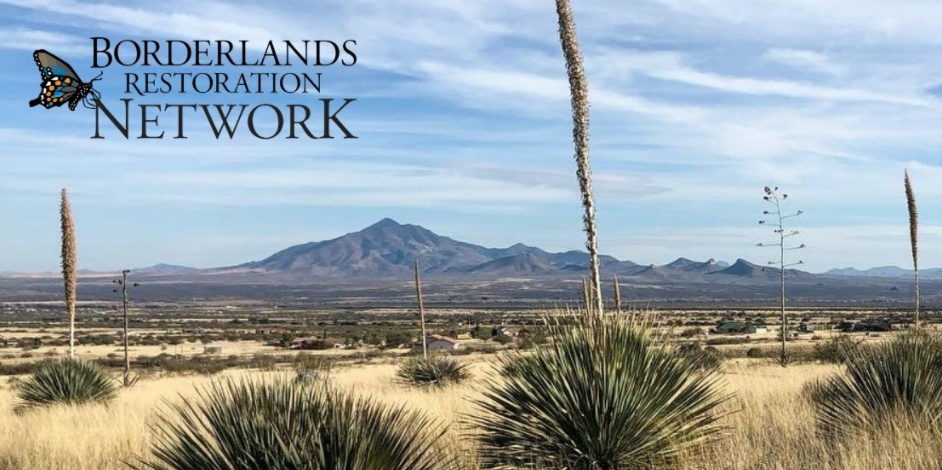 In the background, a desert landscape sprawls in the forground with healthy yucca plants seeding, and a mountain and blue sky with soft white clouds stand in the background. In the upper right corner, text reads "Borderlands Restoration Network" with a logo of a butterfly. 